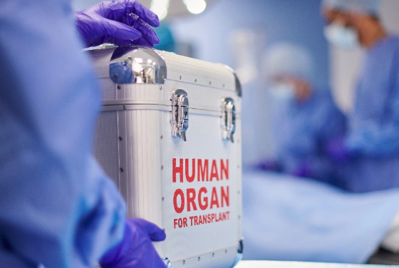 SRMC transplant surgeons perform the feat in a span of 24 hours